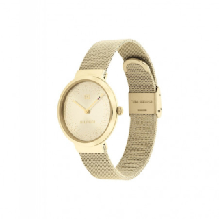 Hodinky TOMMY HILFIGER 1782487  5351