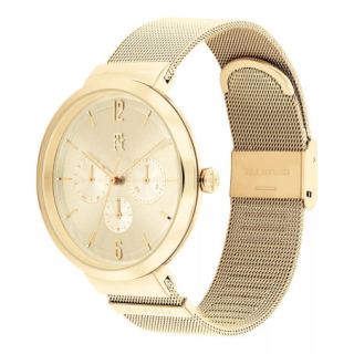 Hodinky TOMMY HILFIGER 1782539  5424